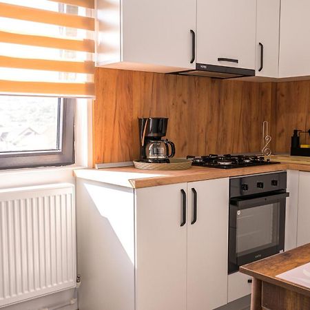 Târgu Jiu Nina House 아파트 객실 사진